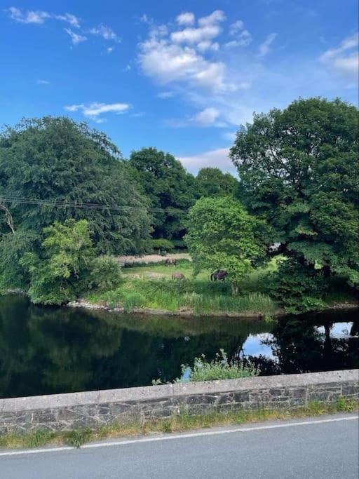 Riverside Retreat Llandysul Luaran gambar
