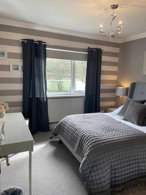 Riverside Retreat Llandysul Luaran gambar