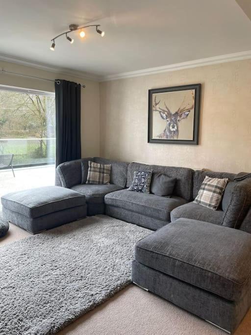 Riverside Retreat Llandysul Luaran gambar
